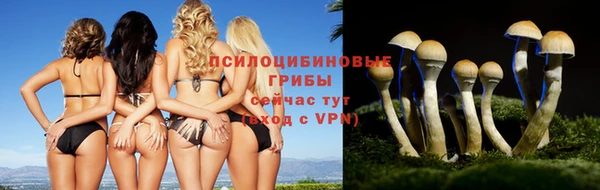 кокаин Покачи