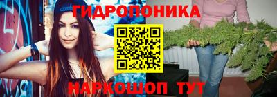 jwh Кинель