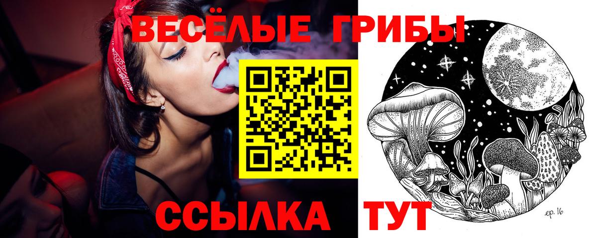 Псилоцибиновые грибы ЛСД  Ставрополь 