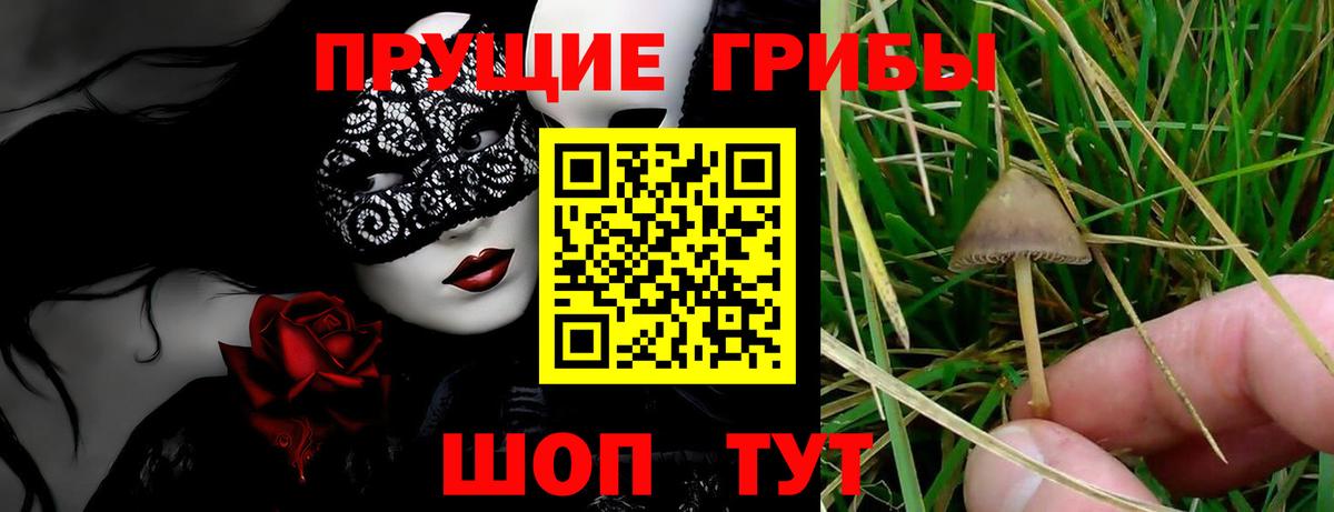 Cocaine  ГАШИШ  Кокаин  Купить наркотик  Меф МЯУ МЯУ кристаллы  ГАШИШ  МЕФ   Бошки Шишки  Ставрополь  Каннабис 