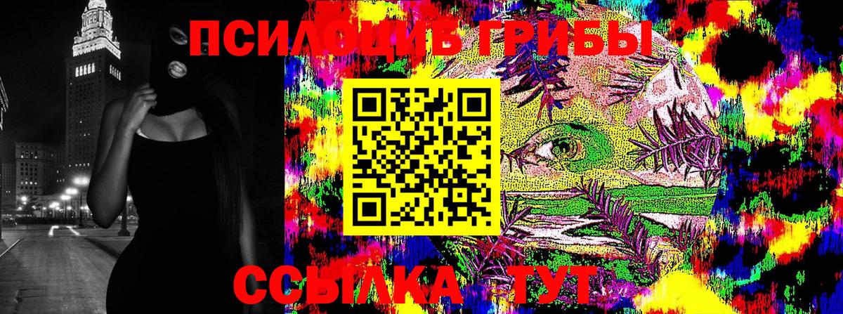 Галлюциногенные грибы MAGIC MUSHROOMS  Вход с VPN  Псилоцибиновые грибы Magic Shrooms  купить наркотик  Ставрополь 