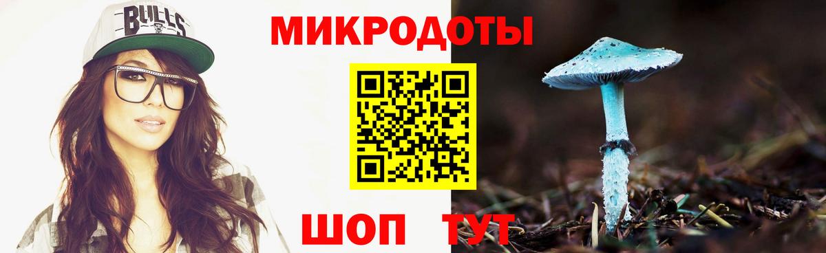 Псилоцибиновые грибы мухоморы Ставрополь