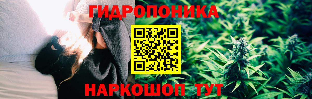 Шишки марихуана конопля  Бошки Шишки планчик  Ставрополь  Каннабис White Widow  Вход с VPN  Бошки Шишки Bruce Banner 